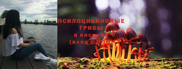 мескалин Мегион