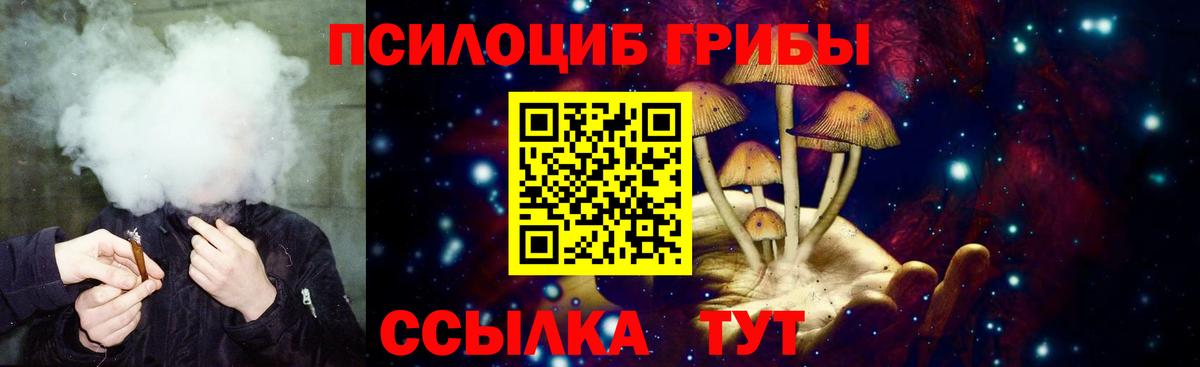 Псилоцибиновые грибы Magic Shrooms  цены   Южноуральск 