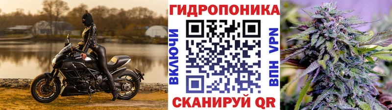 Марихуана сатива  Южноуральск 
